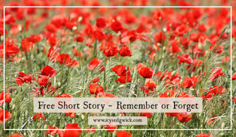 This free short story explores the memory of a First World War soldier in honour of Remembrance Sunday.