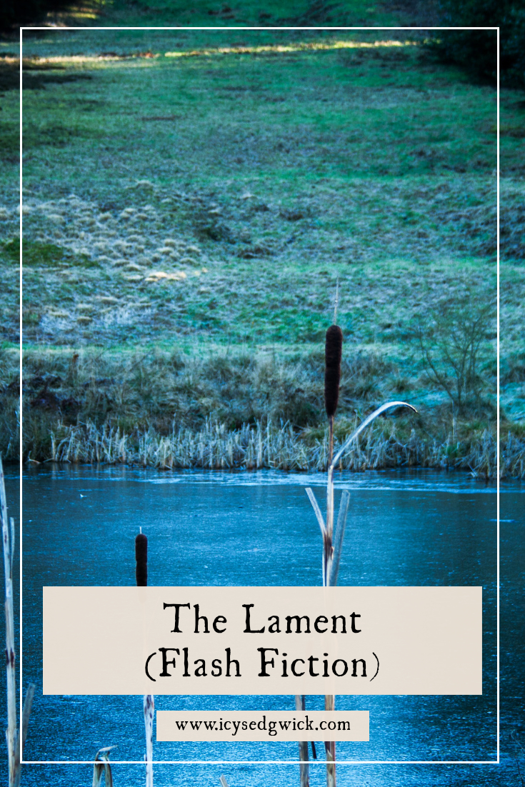 An image showing a frozen pond with two bullrushes sticking up in the foreground