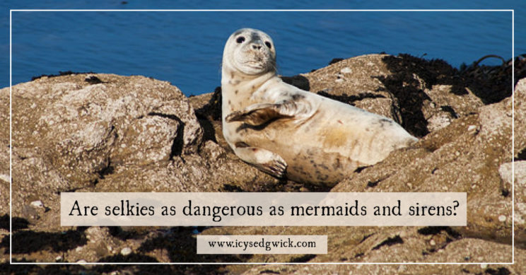 Selkies appear in the folklore of Ireland, Scotland, the Faroe Islands, and Iceland. But are they as dangerous as mermaids or sirens? Click here to find out more.