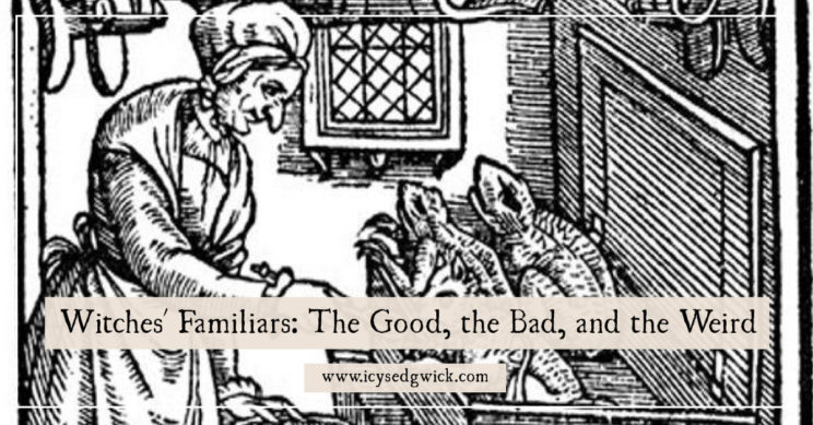 Many think of cats or toads when they think of witches' familiars. But what else acted as familiars? And what did they actually do? Click here to find out.