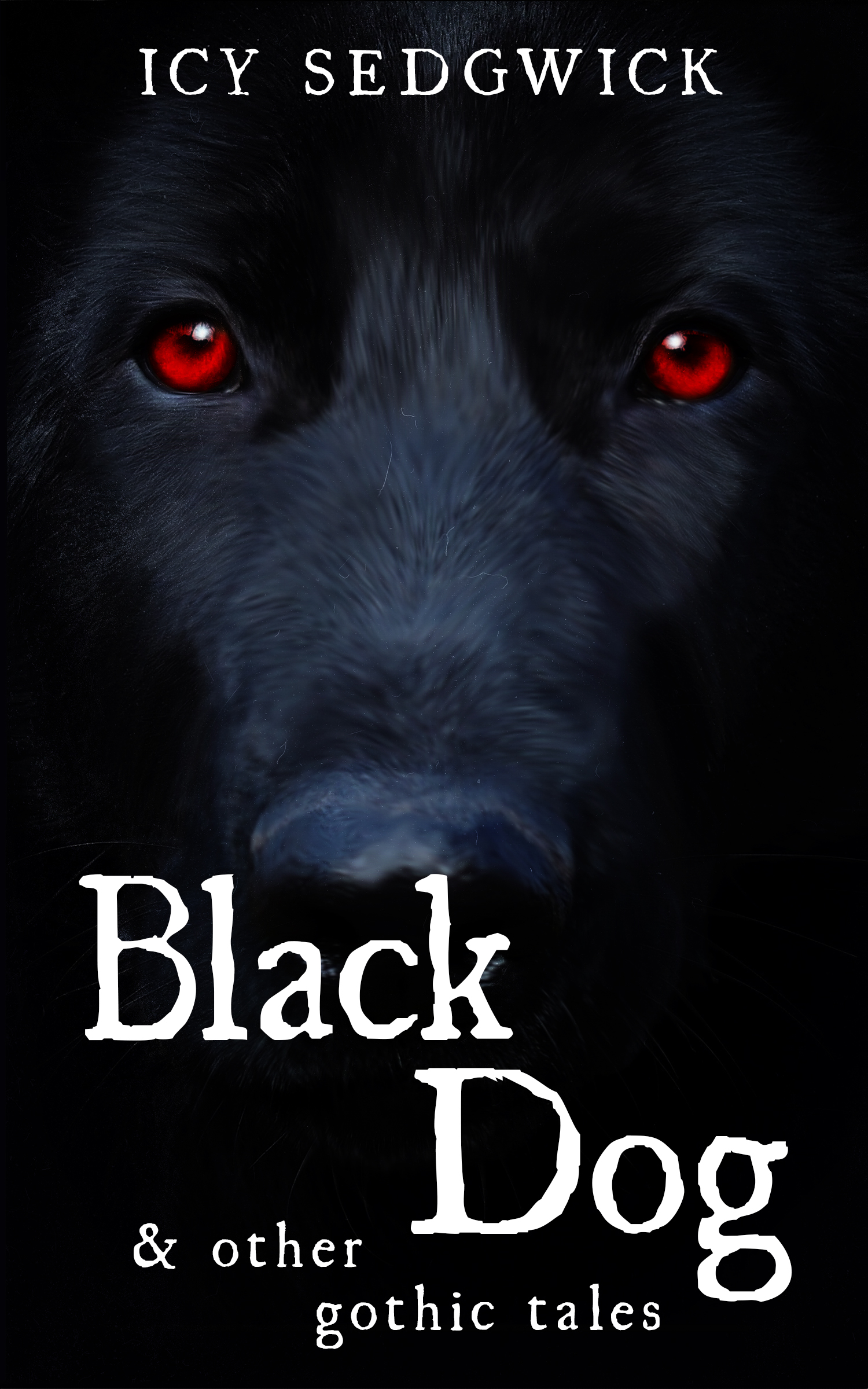 what does the black dog represent