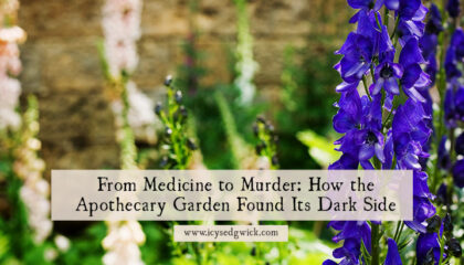 The Alnwick Poison Garden is the modern descendant of the medieval apothecary garden. Find out how these healing gardens found their dark side.