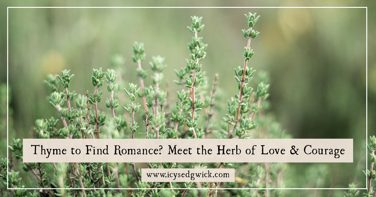 Thyme to Find Romance Meet the Herb of Love Courage