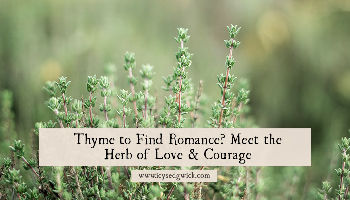 Thyme to Find Romance Meet the Herb of Love Courage