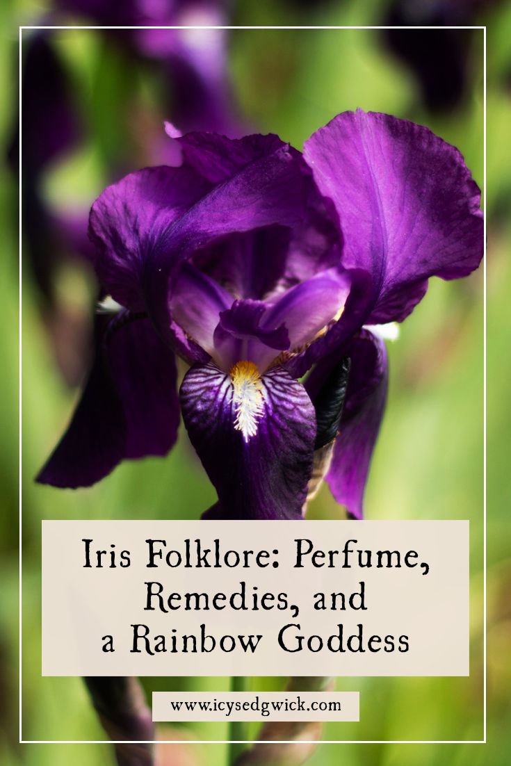 The iris is a recognisable flower that's both beautiful and useful. Find out how it appears in folk remedies and how it relates to a goddess!