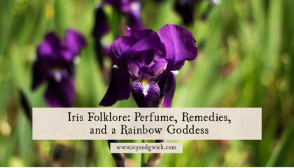 The iris is a recognisable flower that's both beautiful and useful. Find out how it appears in folk remedies and how it relates to a goddess!