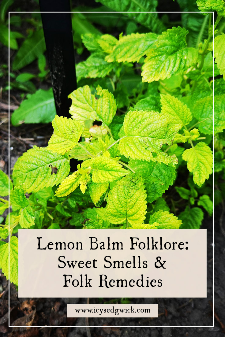 Lemon balm is part of the mint family, and provides plenty of folk remedies throughout time. Learn more here.