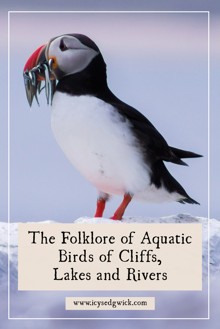 Aquatic birds have had a long relationship with humans. Find out more about the folklore of the cormorant, curlew, duck, goose, kingfisher, and puffin.