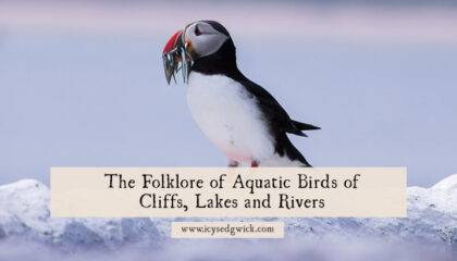 Aquatic birds have had a long relationship with humans. Find out more about the cormorant, curlew, duck, goose, kingfisher, and puffin.