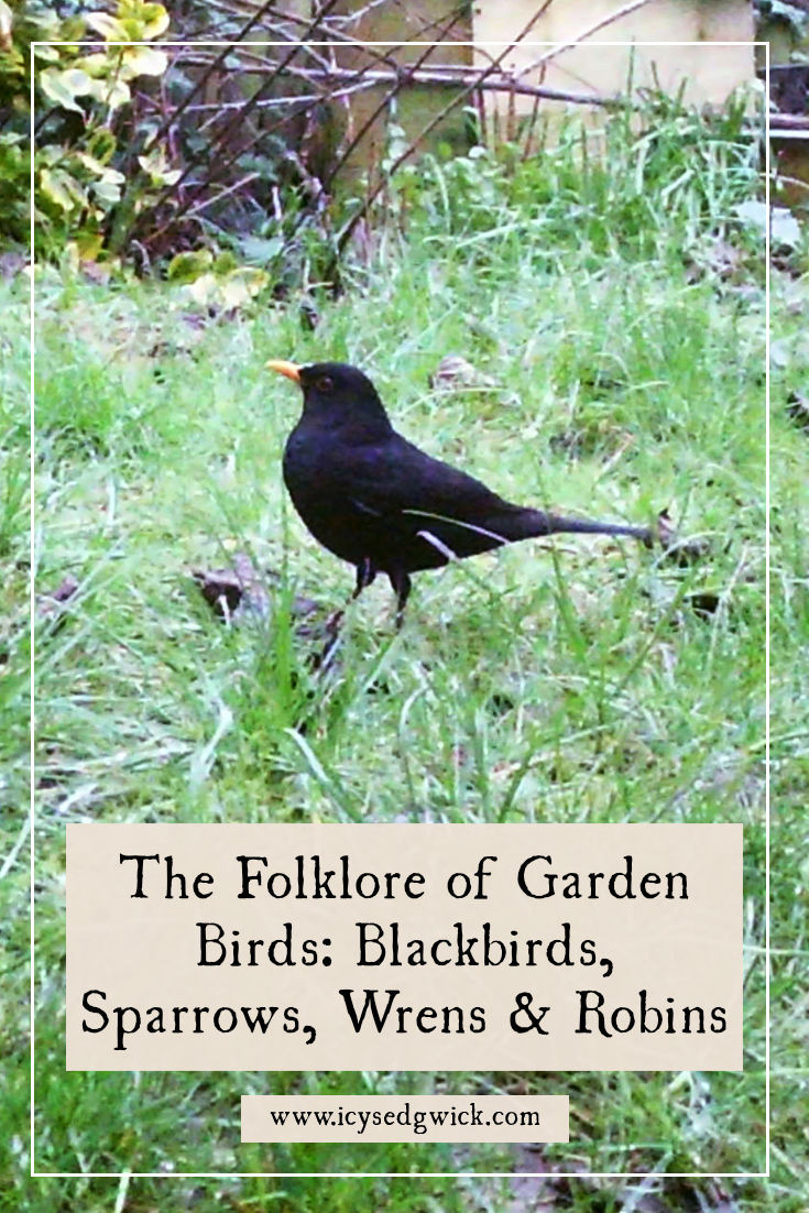 Blackbirds, sparrows, wrens and robins are common garden birds in the British Isles. Learn more about their folklore and legends here.