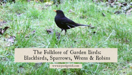 Blackbirds, sparrows, wrens and robins are common garden birds in the British Isles. Learn more about their folklore and legends here.