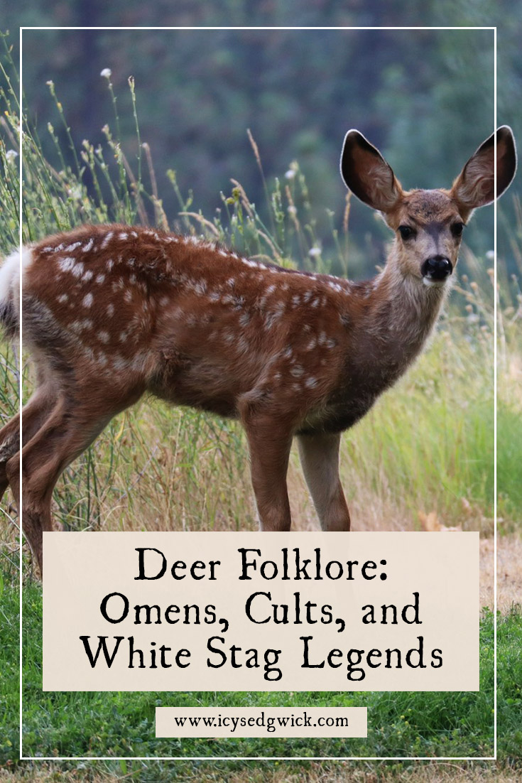 Deer folklore includes legends of white stags, horned gods, so-called deer cults, omens, and shapeshifting. Learn more here.