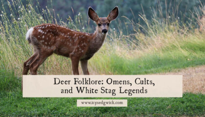 Deer folklore includes legends of white stags, horned gods, so-called deer cults, omens, and shapeshifting. Learn more here.