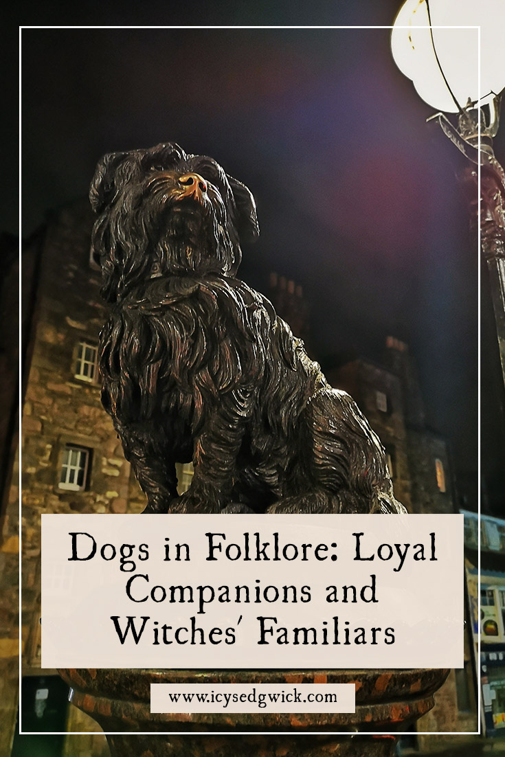 Dogs appear in folklore as loyal companions, fairy dogs, spectral hounds, and even witches' familiars. Click here to learn more.