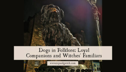 Dogs appear in folklore as loyal companions, fairy dogs, spectral hounds, and even witches' familiars. Click here to learn more.