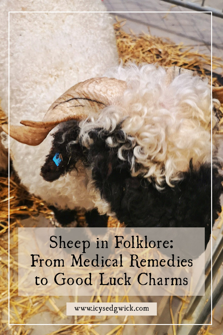 Sheep appear in folklore, legends, mythology, and even folk medicine. Not bad for a humble farm animal! Click here to learn more.