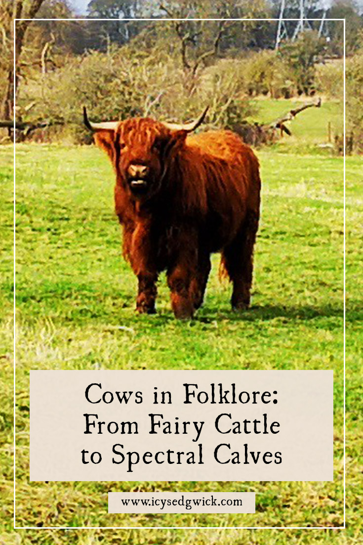 Cows may not seem as magical as hares or cats, but they're surprisingly common in folklore. Find out how in this post!