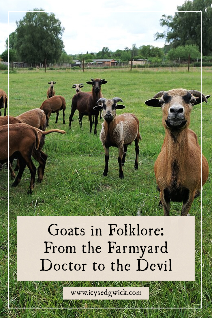 Goats are often associated with the devil, but how do they appear in wider folklore? Find out about their links with the fairies!