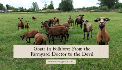 Goats are often associated with the devil, but how do they appear in wider folklore? Find out about their links with the fairies!