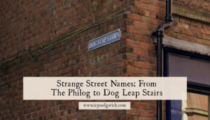 Street names can provide helpful information about a place, celebrate a person, or even be whimsical. Learn about some odd street names here.